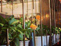 -燕郊烧鸽子(酷车小镇店)