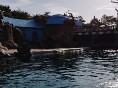-大连老虎滩海洋公园