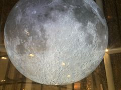 -安安宠物医院(佳林路分院)