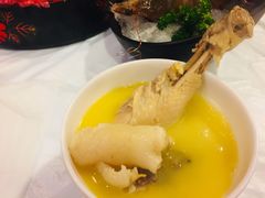 -鲜入围煮花胶鸡海鲜火锅