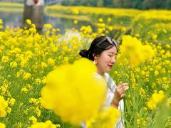 -乐山大佛风景名胜区乌尤寺南门-售票点