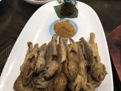 -燕郊烧鸽子(广安路店)