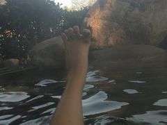 -威海天沐度假区温泉