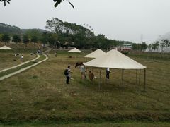 景点-盈香心动乐园