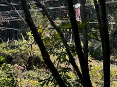 -藏龙百瀑风景区