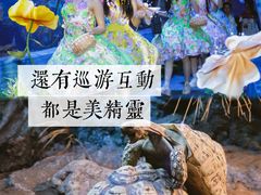 -南昌海洋公园