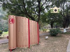 -番禺大夫山森林公园