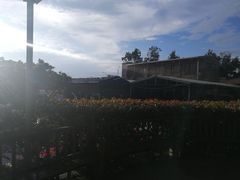 -天然居·漳港海鲜·海景餐厅(南澳总店)