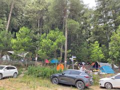 -重庆睡佛山森林公园
