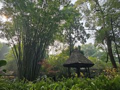 -成都杜甫草堂博物馆