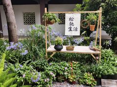 -苏州上方山国家森林公园