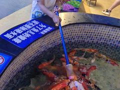 -烟台海昌鲸鲨海洋公园