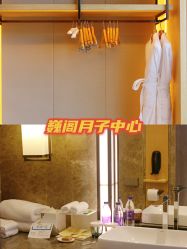 -巍阁月子中心(南山店)