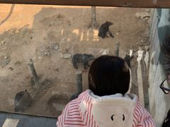 -泉州海丝野生动物世界