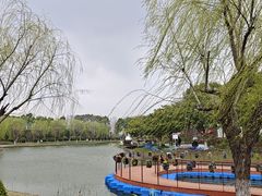 -上海鲜花港