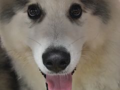 -胡叨叨黄油砂锅焗海鲜(百家湖1912店 )