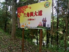 -田野绿世界