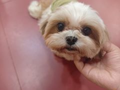 -和它·交个朋友·狗咖猫咖(爱琴海店)