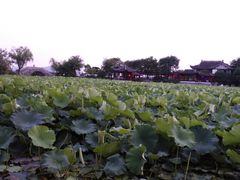 -高子水居