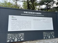 -阳台山自然风景区