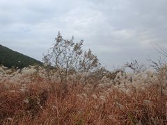 -龙洞风景区-藏龙涧