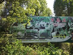 -山沟沟景区