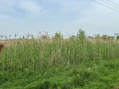 -小鱼草莓采摘园农家乐·小鱼餐厅