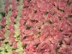 -仙山谷激浪漂流