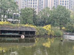 -成都南湖公园