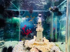 -太平洋海底世界