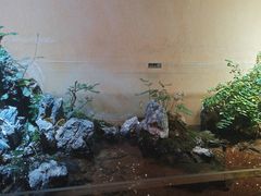 -杭州香格里拉·香宫中餐厅