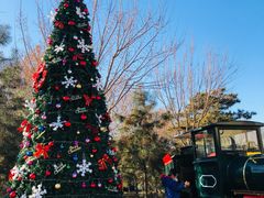 -南宫五洲植物乐园