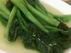 -鸿达渔港