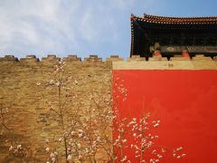 -东华门大街小区
