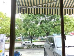 -金塔傣乡·云南民族特色菜·傣味手抓饭(金瓦路店)