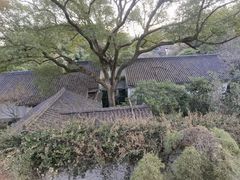 -惠山古镇·寄畅园