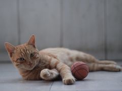 -广东外语外贸大学(白云山校区)