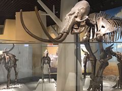 -国家自然博物馆