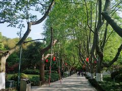 -杭州黄龙洞