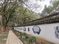 -上海佘山国家森林公园天马山园