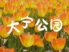 -大宁公园