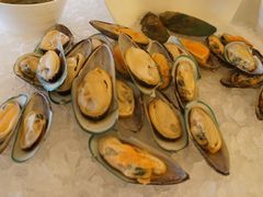 海虹-北京王府井希尔顿酒店·万斯阁西餐厅