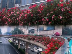 -春熙路步行街