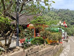 -南海湾森林生态园