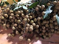 -玉和山庄农家菜