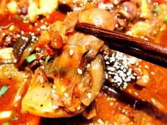 湖塘甲鱼-甲鱼张甲鱼铺子(观沙岭店)