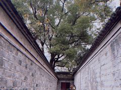 -天一阁博物院