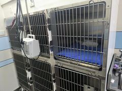 -中农国际动物医院24小时·猫科·骨科·急重症中心