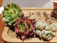 -星巴克臻选(珠海富华里店)