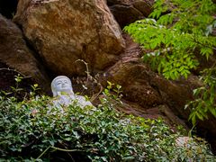 -大伊山景区
